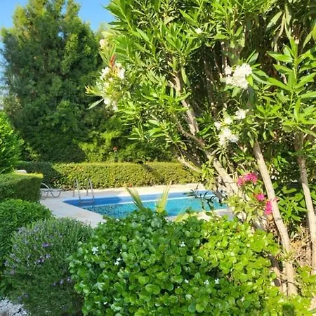 Cyprus Beachfront Paradise Private Pool