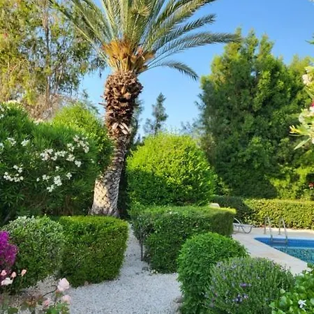 Cyprus Beachfront Paradise Private Pool Villa Coral Bay