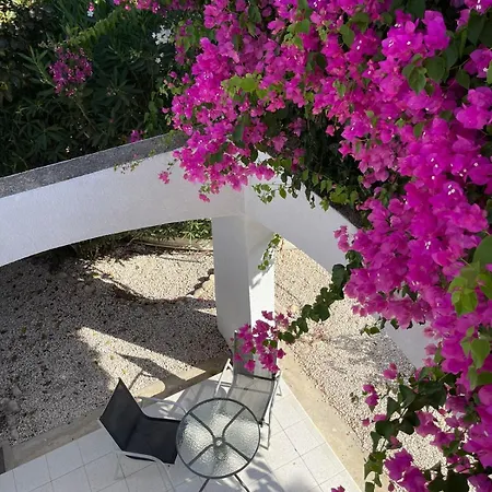 Villa Cyprus Beachfront Paradise Private Pool