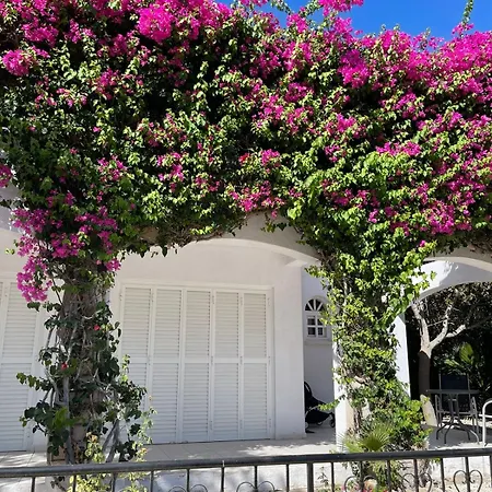 Cyprus Beachfront Paradise Private Pool Villa Coral Bay