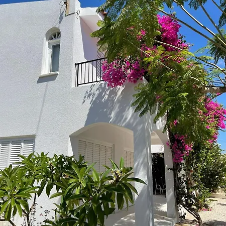 Villa Cyprus Beachfront Paradise Private Pool Coral Bay